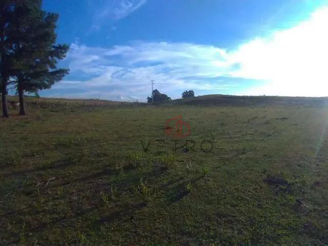 Sítio e chácara venda em Região Geográfica Imediata de Caxias do Sul, São Francisco de Paula