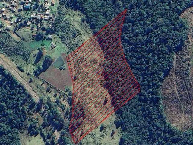 Sítio e chácara venda em Região Geográfica Imediata de Caxias do Sul, São Francisco de Paula