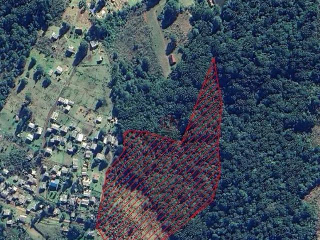 Sítio e chácara venda em Região Geográfica Imediata de Caxias do Sul, São Francisco de Paula
