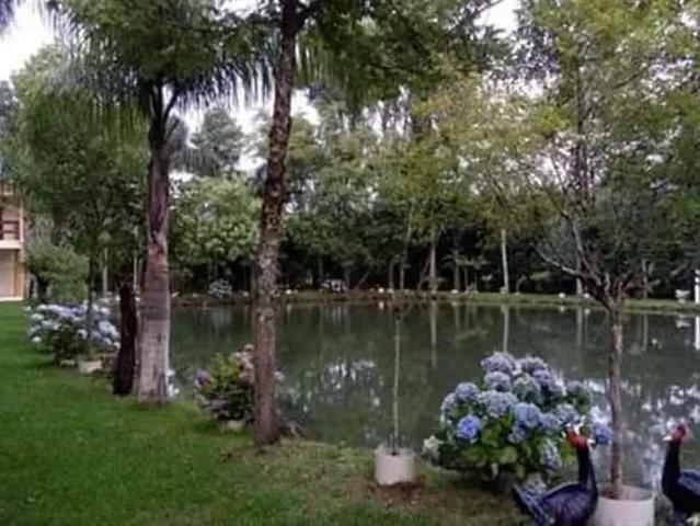 Sítio e chácara venda em Região Geográfica Imediata de Caxias do Sul, São Francisco de Paula
