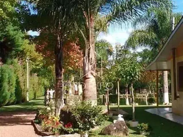 Sítio e chácara venda em Região Geográfica Imediata de Caxias do Sul, São Francisco de Paula