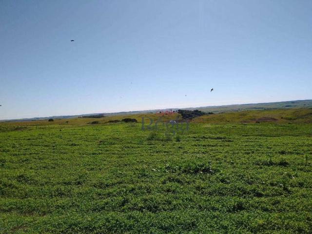Sítio e chácara venda em Região Geográfica Imediata de Caxias do Sul, São Francisco de Paula