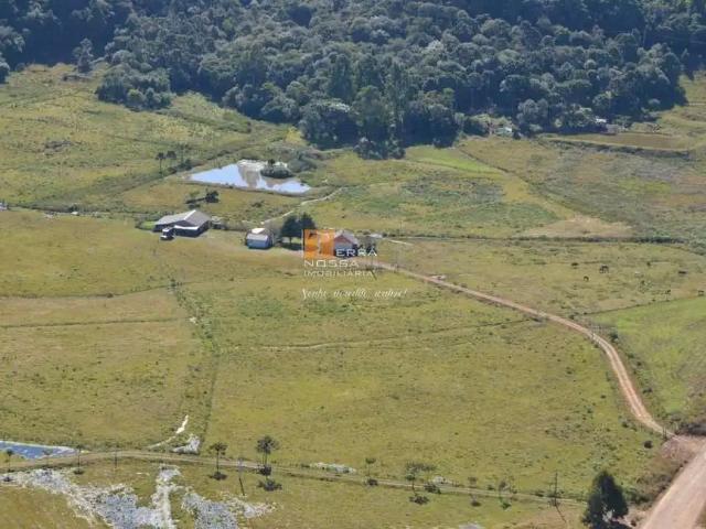 Sítio e chácara venda em Região Geográfica Imediata de Caxias do Sul, São Francisco de Paula