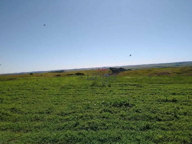 Sítio e chácara venda em Região Geográfica Imediata de Caxias do Sul, São Francisco de Paula