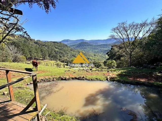 Sítio e chácara venda em Loteamento Serra Dourada, São Francisco de Paula
