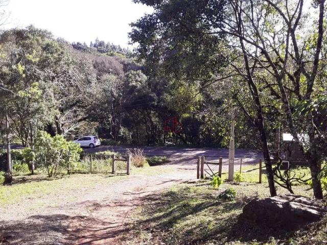 Sítio e chácara venda em Região Geográfica Imediata de Caxias do Sul, São Francisco de Paula