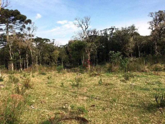 Sítio e chácara venda em Região Geográfica Imediata de Caxias do Sul, São Francisco de Paula