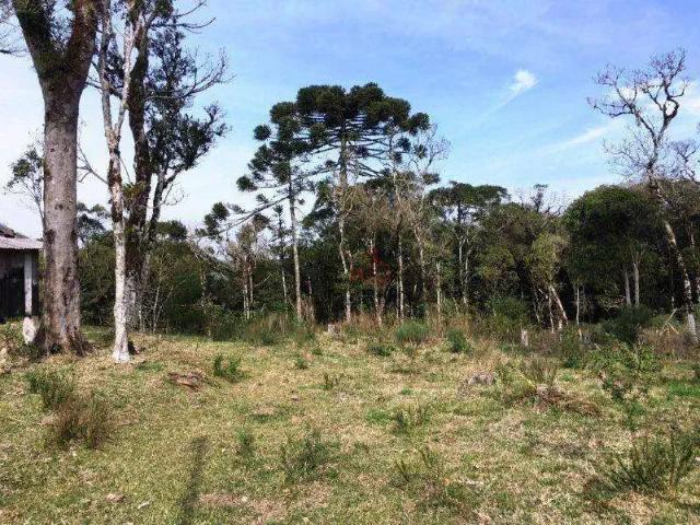Sítio e chácara venda em Região Geográfica Imediata de Caxias do Sul, São Francisco de Paula