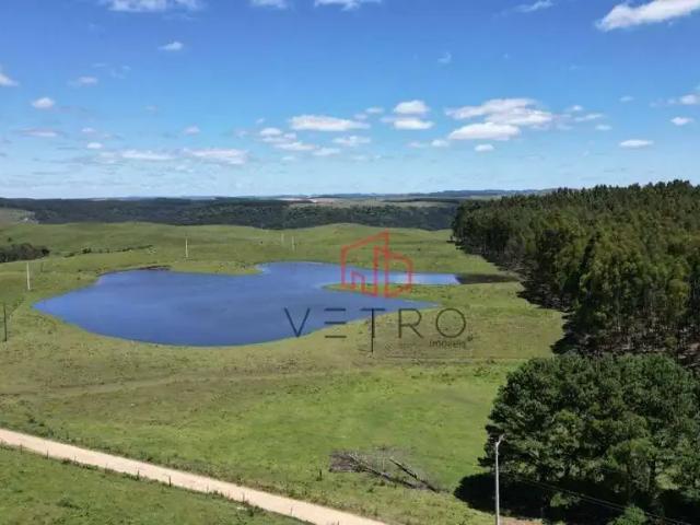 Sítio e chácara venda em Região Geográfica Imediata de Caxias do Sul, São Francisco de Paula