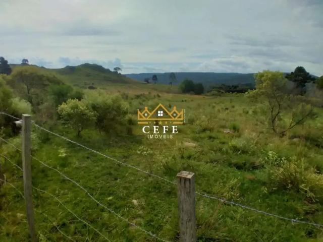 Sítio e chácara venda em Região Geográfica Imediata de Caxias do Sul, São Francisco de Paula