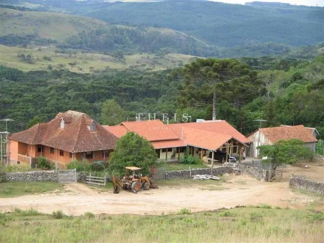 Sítio e chácara venda em Região Geográfica Imediata de Caxias do Sul, São Francisco de Paula