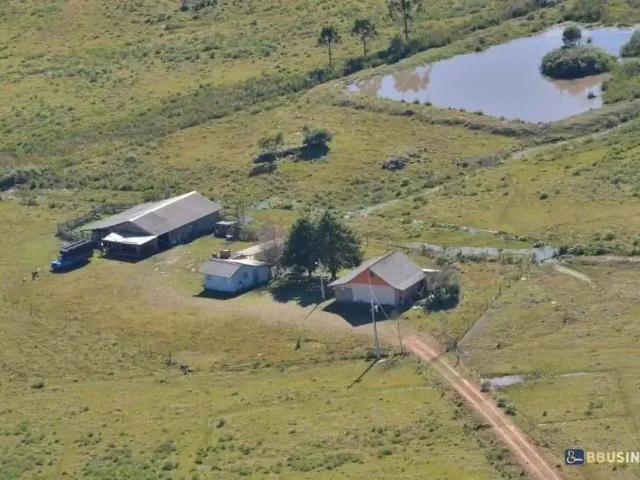 Sítio e chácara venda em Loteamento Serra Dourada, São Francisco de Paula