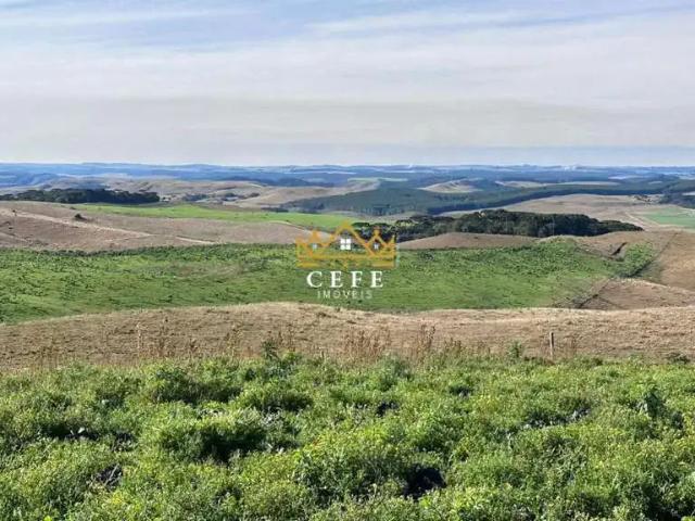 Sítio e chácara venda em Região Geográfica Imediata de Caxias do Sul, São Francisco de Paula