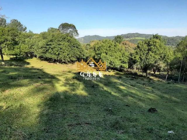 Sítio e chácara venda em Região Geográfica Imediata de Caxias do Sul, São Francisco de Paula