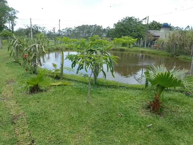 Sítio e chácara venda em Região Geográfica Imediata de Joinville, São Francisco do Sul