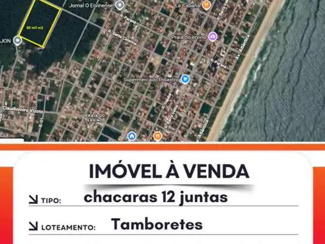 Sítio e chácara venda em Região Geográfica Imediata de Joinville, São Francisco do Sul