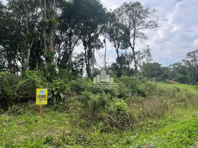 Sítio e chácara venda em Região Geográfica Imediata de Joinville, São Francisco do Sul