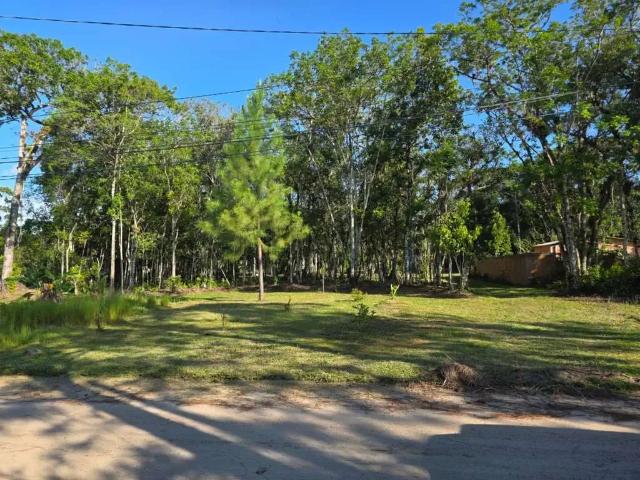 Sítio e chácara venda em Região Geográfica Imediata de Joinville, São Francisco do Sul