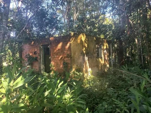 Sítio e chácara venda em Região Geográfica Imediata de Joinville, São Francisco do Sul