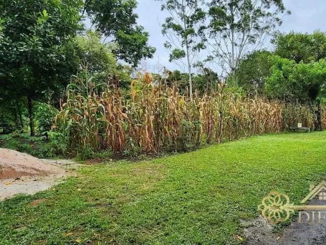 Sítio e chácara venda em Região Geográfica Imediata de Joinville, São Francisco do Sul