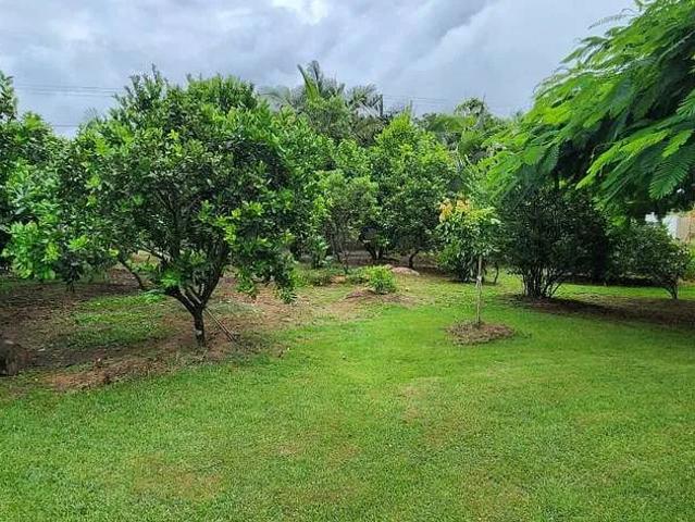 Sítio e chácara venda em Tapera, São Francisco do Sul