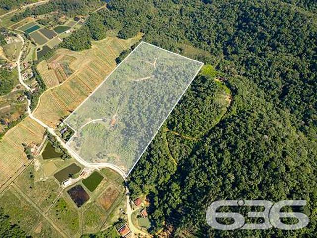 Sítio e chácara venda em Vila da Glória, São Francisco do Sul