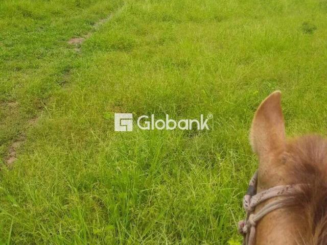 Sítio e chácara venda em São Francisco, Região Geográfica Intermediária de Montes Claros
