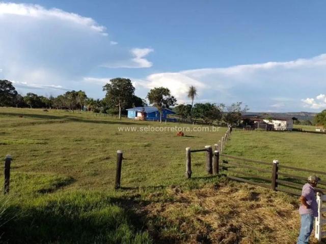 Sítio e chácara venda em São Gabriel do Oeste