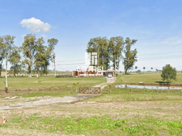 Sítio e chácara venda em Região Geográfica Imediata de São Gabriel - Caçapava do Sul, São Gabriel
