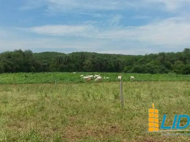 Sítio e chácara venda em Região Geográfica Imediata de Patos de Minas, São Gonçalo do Abaeté