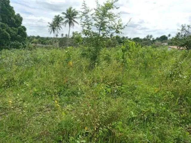 Sítio e chácara venda em Região Geográfica Imediata de Natal, São Gonçalo do Amarante