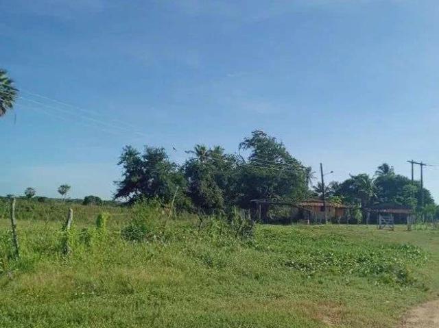 Sítio e chácara venda em Loteamento Saburá, São Gonçalo do Amarante