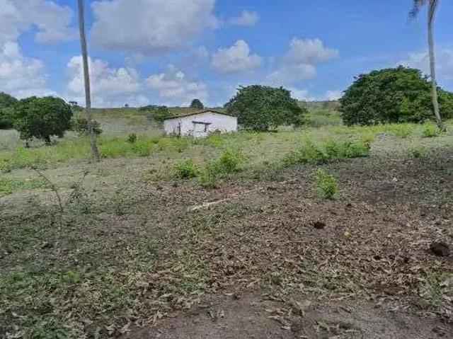 Sítio e chácara venda em Região Geográfica Imediata de Natal, São Gonçalo do Amarante