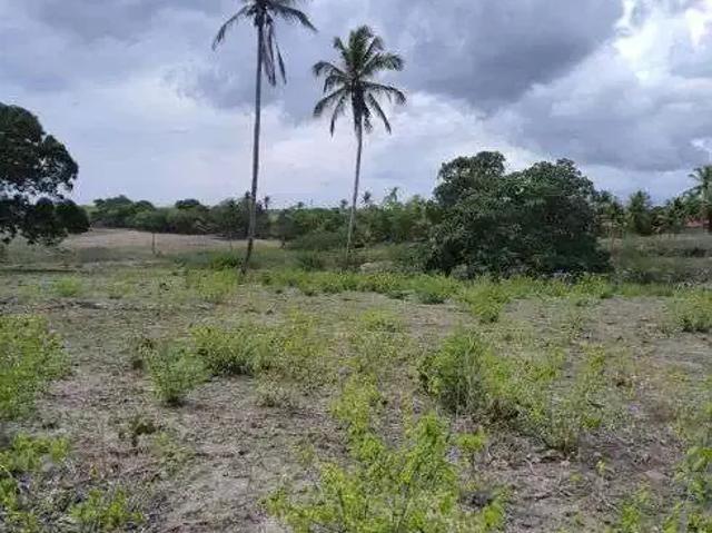 Sítio e chácara venda em Região Geográfica Imediata de Natal, São Gonçalo do Amarante