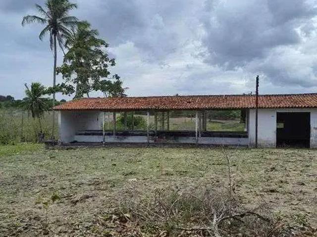 Sítio e chácara venda em Região Geográfica Imediata de Natal, São Gonçalo do Amarante