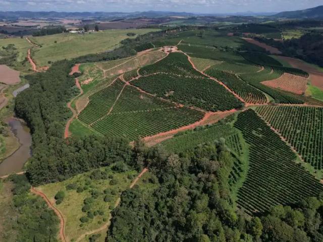 Sítio e chácara venda em Região Geográfica Imediata de Varginha, São Gonçalo do Sapucaí