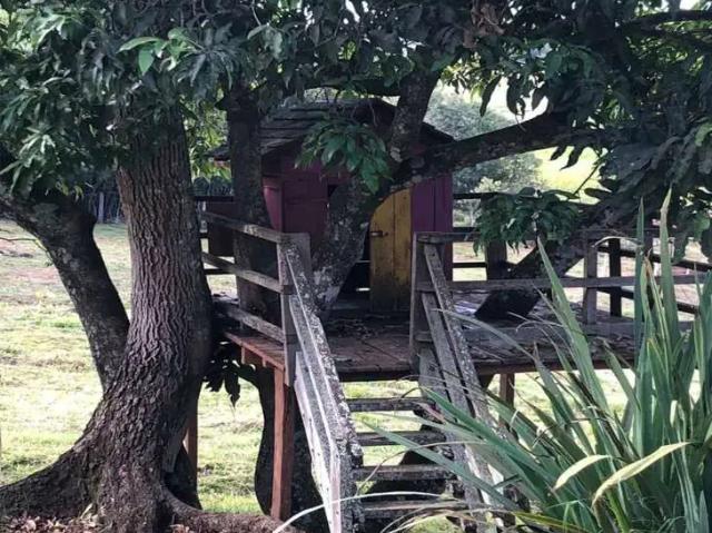 Sítio e chácara venda em Região Geográfica Imediata de Varginha, São Gonçalo do Sapucaí