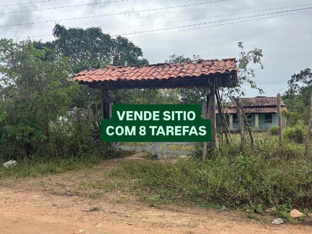 Sítio e chácara venda em São Gonçalo dos Campos