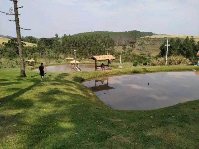Sítio e chácara venda em São Jerônimo da Serra, Região Geográfica Intermediária de Londrina
