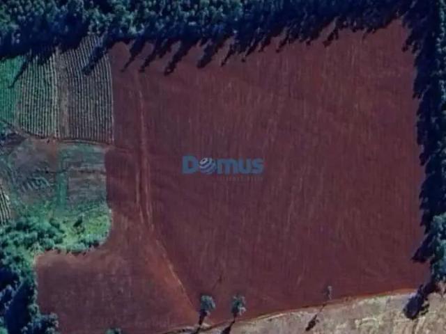 Sítio e chácara venda em Região Geográfica Imediata de Cornélio Procópio-Bandeirantes, São Jerônimo da Serra