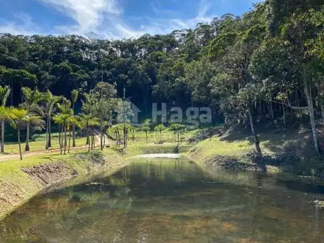 Sítio e chácara venda em Região Geográfica Imediata de Brusque, São João Batista