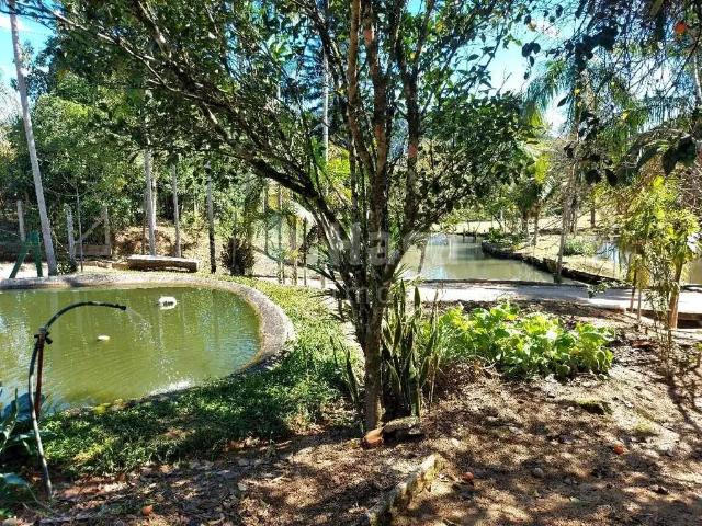 Sítio e chácara venda em Região Geográfica Imediata de Brusque, São João Batista