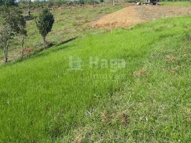 Sítio e chácara venda em Região Geográfica Imediata de Brusque, São João Batista