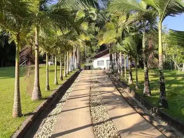 Sítio e chácara venda em Região Geográfica Imediata de Brusque, São João Batista