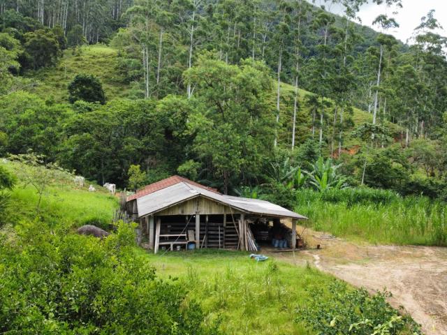 Sítio e chácara venda em Região Geográfica Imediata de Brusque, São João Batista