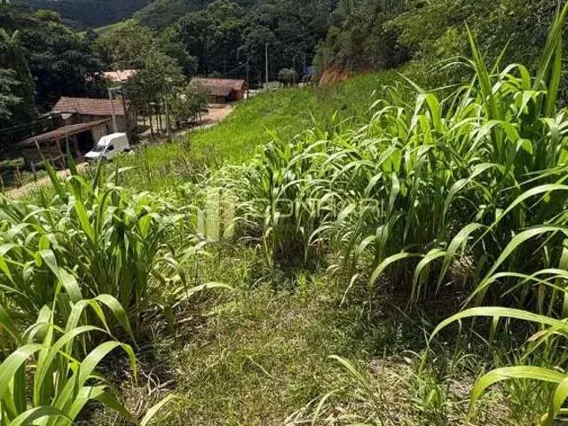Sítio e chácara venda em Região Geográfica Imediata de Brusque, São João Batista