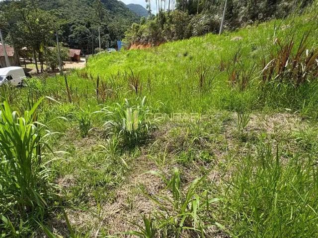 Sítio e chácara venda em Região Geográfica Imediata de Brusque, São João Batista