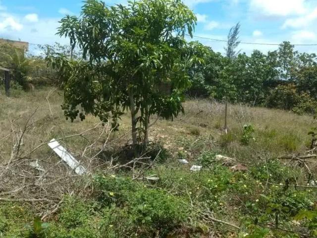 Sítio e chácara venda em Região Geográfica Imediata de Campos dos Goytacazes, São João da Barra