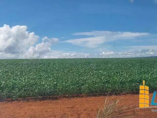 Sítio e chácara venda em Região Geográfica Imediata de Flores de Goiás, São João d'Aliança