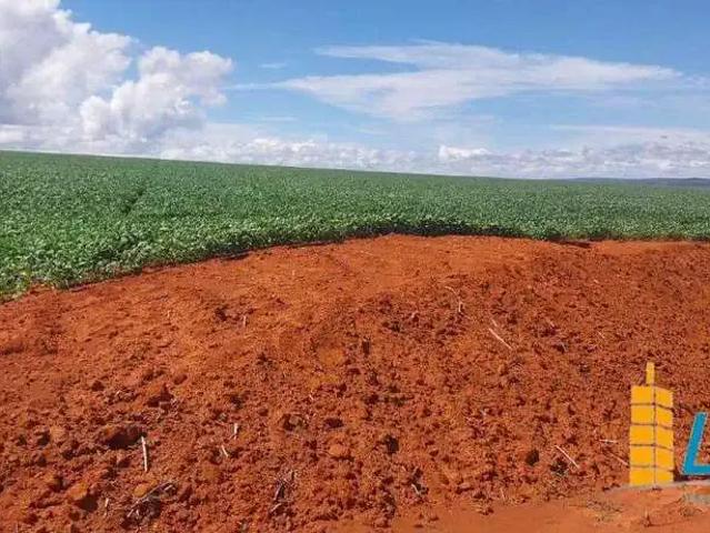 Sítio e chácara venda em Região Geográfica Imediata de Flores de Goiás, São João d'Aliança